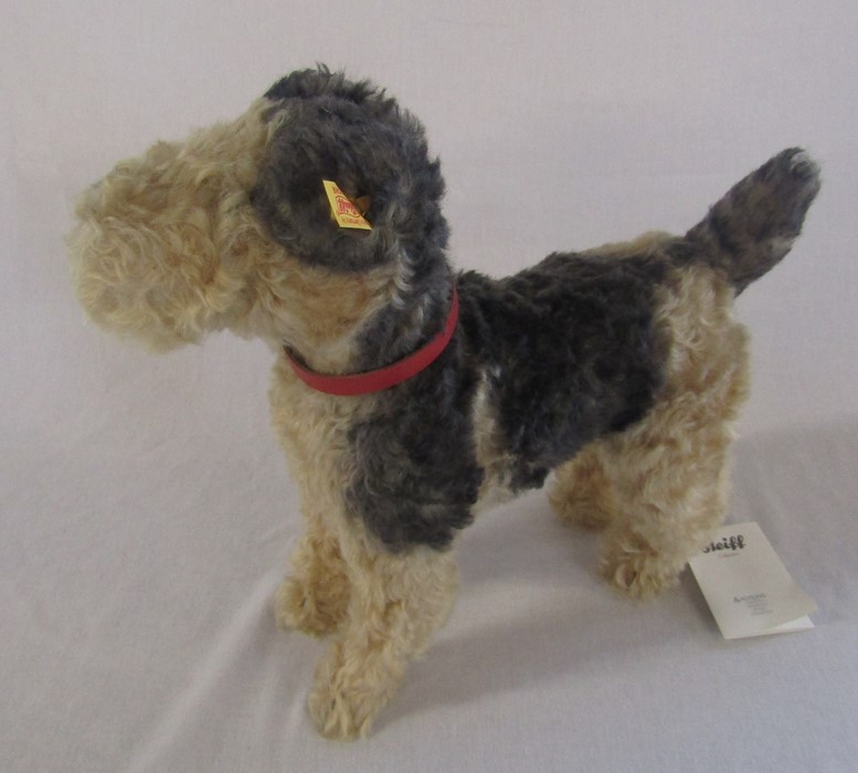 Steiff classic 1935 Fellow Terrier L 30 cm, mohair, with carrier bag