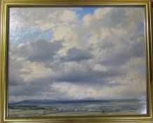 Walter Goodin (1907-1992) gilt framed oil on board landscape of a flat foreground and mountains in