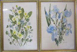 2 framed still life watercolours of flowers signed M Dodd 27 cm x 37.5 cm