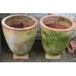 Pair of extremely large terracotta planters Ht 59cm