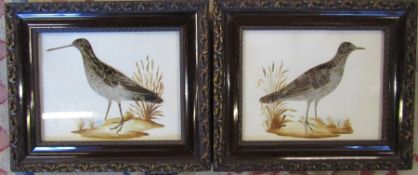 Pair of ornithological feather pictures 33 cm x 28 cm (size including frame)