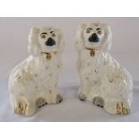 Pair of Royal Doulton Staffordshire style dogs H 15 cm