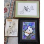 Framed watercolour of a parrot by C Hunter 48 cm x 58 cm (size including frame) and 2 prints of bull