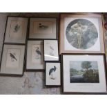 Selection of prints and engravings inc Fly Fishing for trout by R G Reeve painted by J Pollard