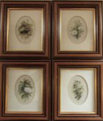 4 framed watercolours by Harry Spencer including Dogrose and Camomile 20 cm x 23.5 cm (size