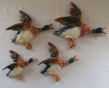 Set of 4 Beswick flying ducks 596-1, 2, 3 and 4 (L 26 cm, 22 cm, 18 cm and 14 cm) (slight paint loss