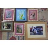 David Weston limited edition fairy prints and Guy Martin TT framed photo with preprinted signature
