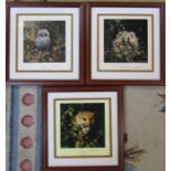 3 framed David Shepherd limited edition prints, signed and numbered in pencil - baby hedgehog 715/