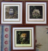 3 framed David Shepherd limited edition prints, signed and numbered in pencil - baby hedgehog 715/