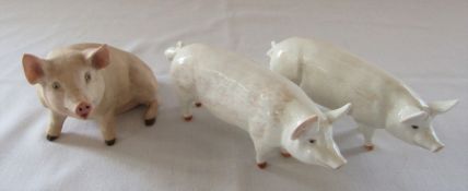 2 Beswick pigs - CH Wall champion boy 53 and CH wall queen 40 and an Aynsley pig 'Piggy' H 10.5 cm