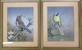 Pair of watercolour and gouache bird paintings 'grey wagtail' and 'robin' by P Robinson 1983 22 cm x