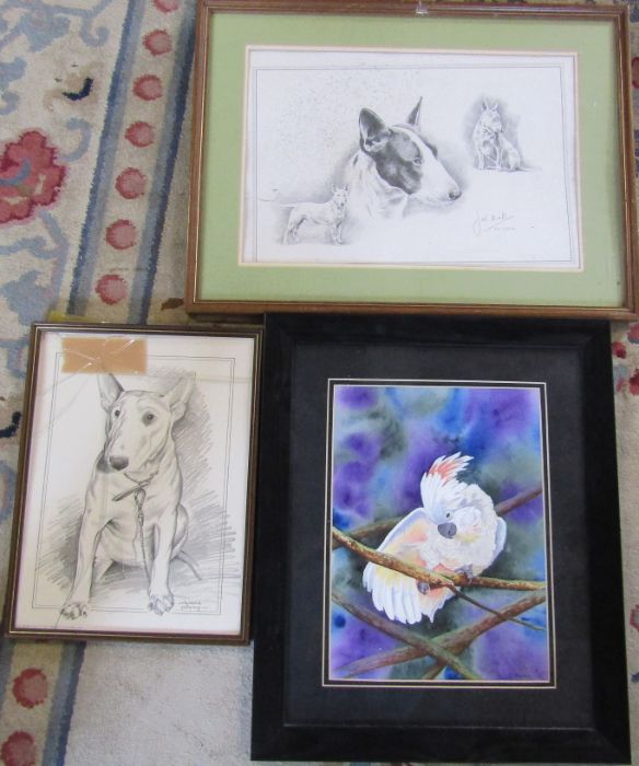 Watercolour of a parrot signed C Hunter, 3 pen & ink drawings of Samurai warriors etc.