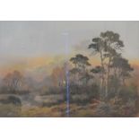 Wendy Reeves signed pastel landscape of a woodland clearing. Frame size 69cm by 54cm