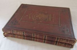 2 volumes of British Fresh Water Fishes by The Rev. W Houghton and illustrated by A F Lydon (all