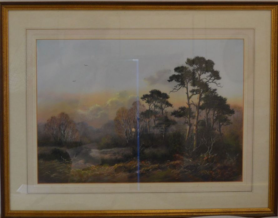 Wendy Reeves signed pastel landscape of a woodland clearing. Frame size 69cm by 54cm - Image 2 of 2
