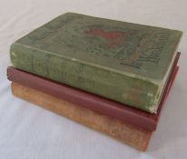 Lewis Carroll - Alice's adventures in wonderland and through the looking glass D Appleton & Co New