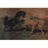 Large Rosa Bonheur signed print depicting two fighting stallions. Frame size 108 by 81cm