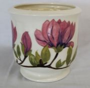 Moorcroft Magnolia pattern on cream ground jardiniere with impressed marks, 18cm high,17.4cm wide