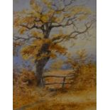 Thomas Smythe  watercolour landscape with an oak tree in the foreground frame size 56cm by 49cm