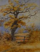 Thomas Smythe  watercolour landscape with an oak tree in the foreground frame size 56cm by 49cm