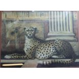 2 framed leopard prints, larger measures 101cm x 82cm