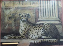 2 framed leopard prints, larger measures 101cm x 82cm