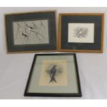 Old hand-coloured print of a house martin, ink drawing of a Fieldfare by Hilary Burn & painting of