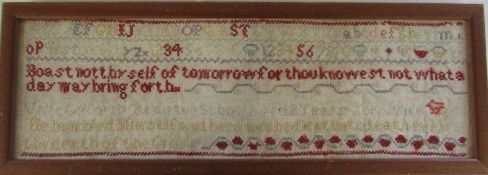 Framed double sided Victorian sampler by Jane Goforth dated 1883 53 cm x 19 cm (size including