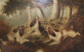 Large oil on canvas depicting 3 spaniels putting up a pheasant, signed George Armfield (1808 - 1893)