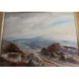 Knowles oil painting on board depicting Dartmoor track Devon 50cm x 42cm (size including frame)