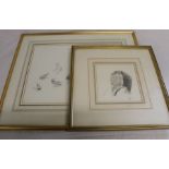 2 framed pencil sketches of Lapwings 56.5cm x 48cm & Greenland Falcon 35cm x 36cm by Philip Rickman