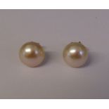 Pair of 9ct gold natural pearl set earrings D 9 mm