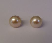 Pair of 9ct gold natural pearl set earrings D 9 mm