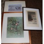 Large signed limited edition print of Red Admiral butterfiles on plums 173 / 500 by Gordon