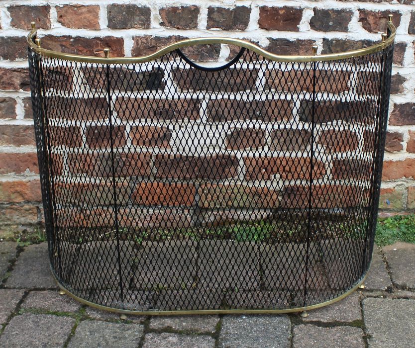 Curved brass mounted fire guard (83cm wide, 60.5cm tall) & cast iron fire front (40cm wide)