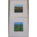 Pair of framed limited edition prints by Paul Evans ' Field flowers' 66/95 and 'Field of flowers and