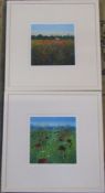 Pair of framed limited edition prints by Paul Evans ' Field flowers' 66/95 and 'Field of flowers and