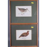 Five late 20th century hand-coloured prints, studies of birds including a red legged partridge, a