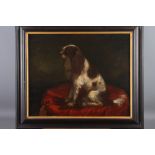 An oil on board of a seated King Charles spaniel on a red cushion, 14 1/2" x 18", in black and