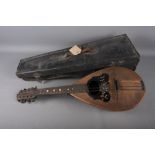 An early 20th century mandolin, by Gav Giovanni De Medglio E Figlio, in fitted case