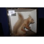 A red squirrel, by R Sadd, 9 1/2" high