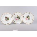 A set of fourteen Copenhagen porcelain dinner plates with hand-painted floral decoration (one