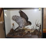 A kestrel and a stoat, 19" high