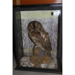 A tawny owl, by Thomas Hunt, 20" high