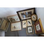 Two watercolour coastal scenes, a number of coloured bird prints, in gilt strip frames, and a number