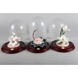 A Lladro porcelain flower model under glass dome, "Prelude in White", No 89 with certificate, and