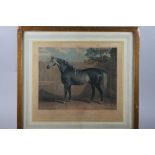 An 18th century coloured aquatint, racehorse "Grey Wiganthorpe", in gilt frame, after J Mole: a