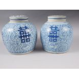 Two Chinese porcelain blue and white ginger jars and covers with scrolled, floral and character