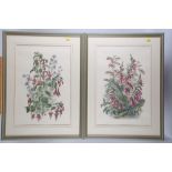 H Ryan: a pair of coloured lithographs, botanical studies, in strip frames