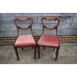 A pair of Victorian mahogany loop back dining chairs with stuffed over seats, on faceted supports